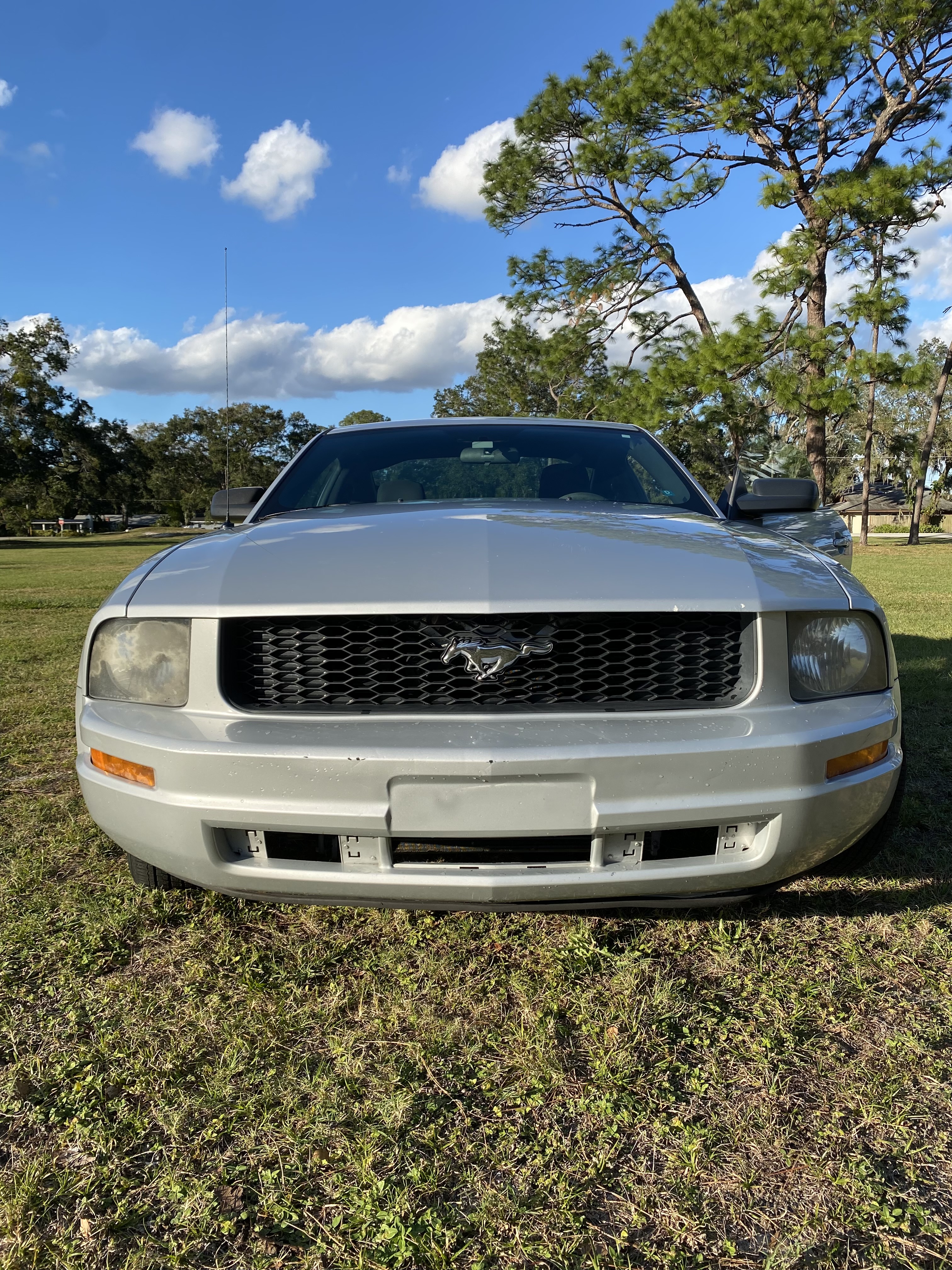 Used 2007 Ford Mustang Coupe RWD image 4