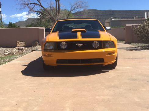 Used 2009 Ford Mustang GT Premium image 5