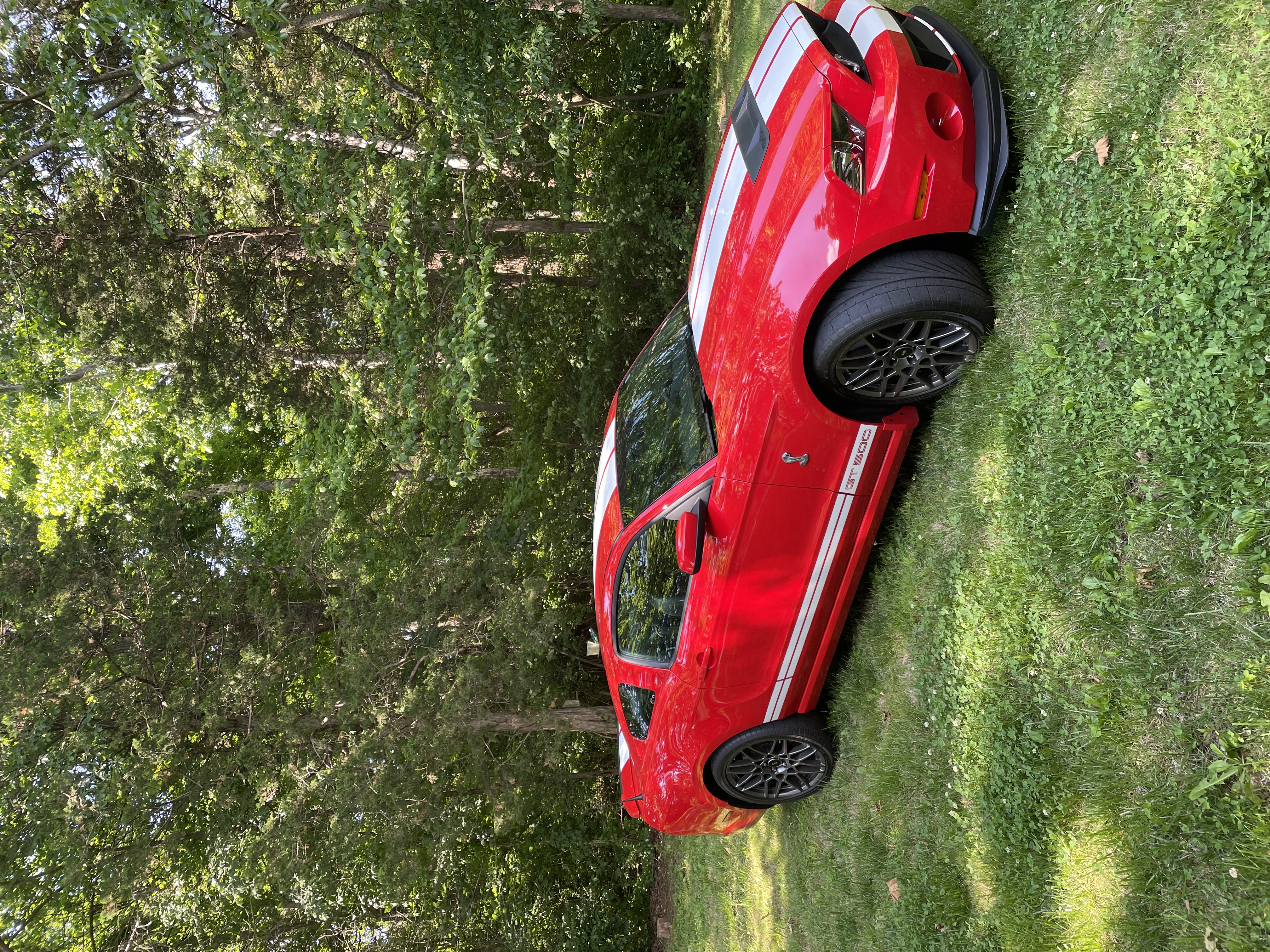 Used 2013 Ford Mustang Shelby GT500 RWD image 1