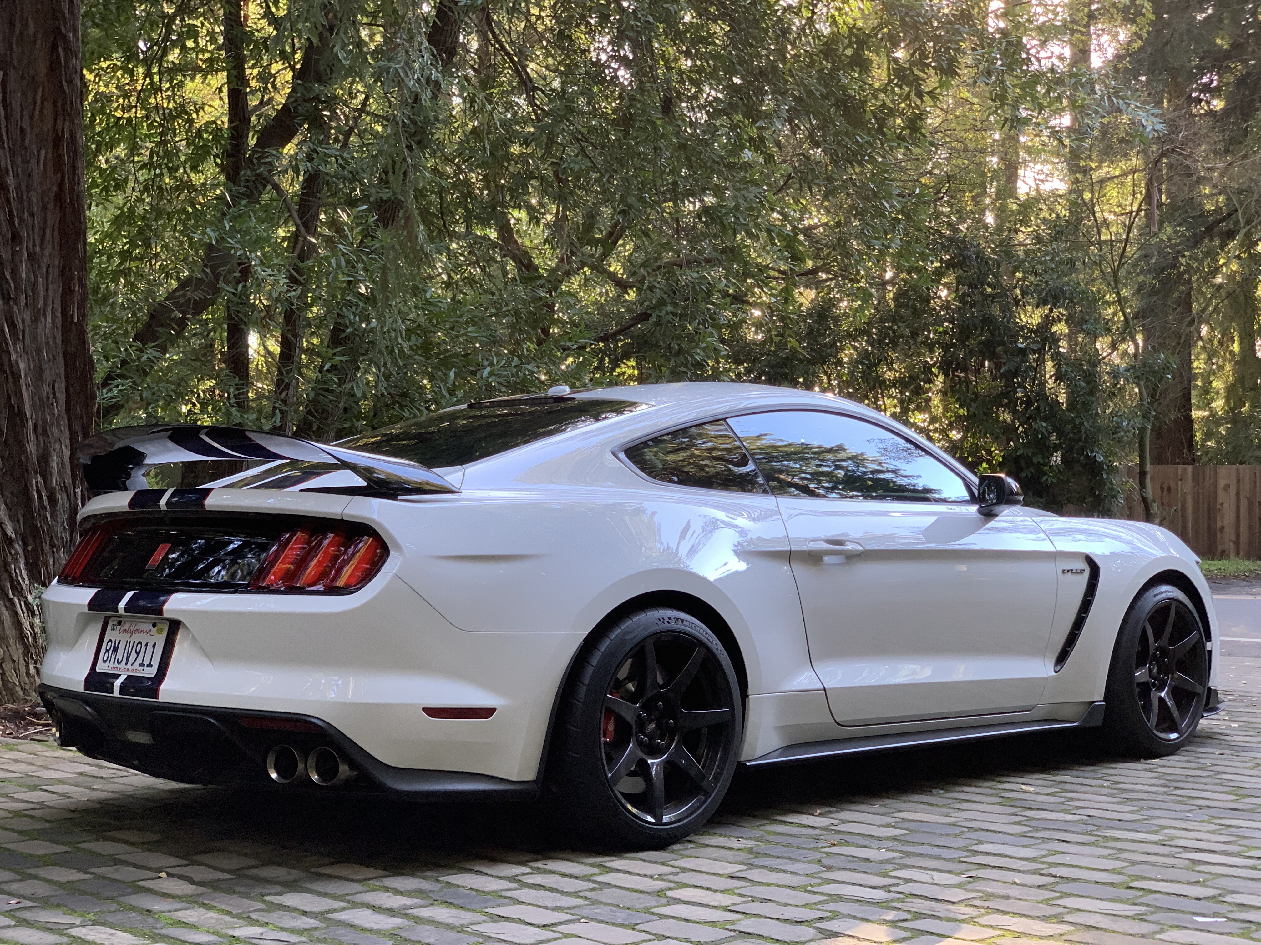 Used 2019 Ford Mustang Shelby GT350R w/ GT350R Equipment Group 920A RWD image 4