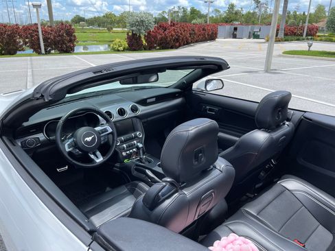 Used 2019 Ford Mustang Premium w/ Equipment Group 201A RWD image 9
