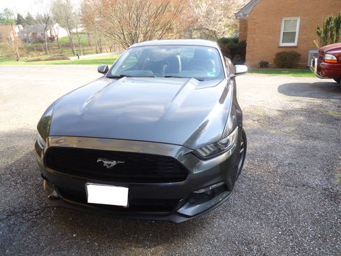 Used 2017 Ford Mustang Premium image 4
