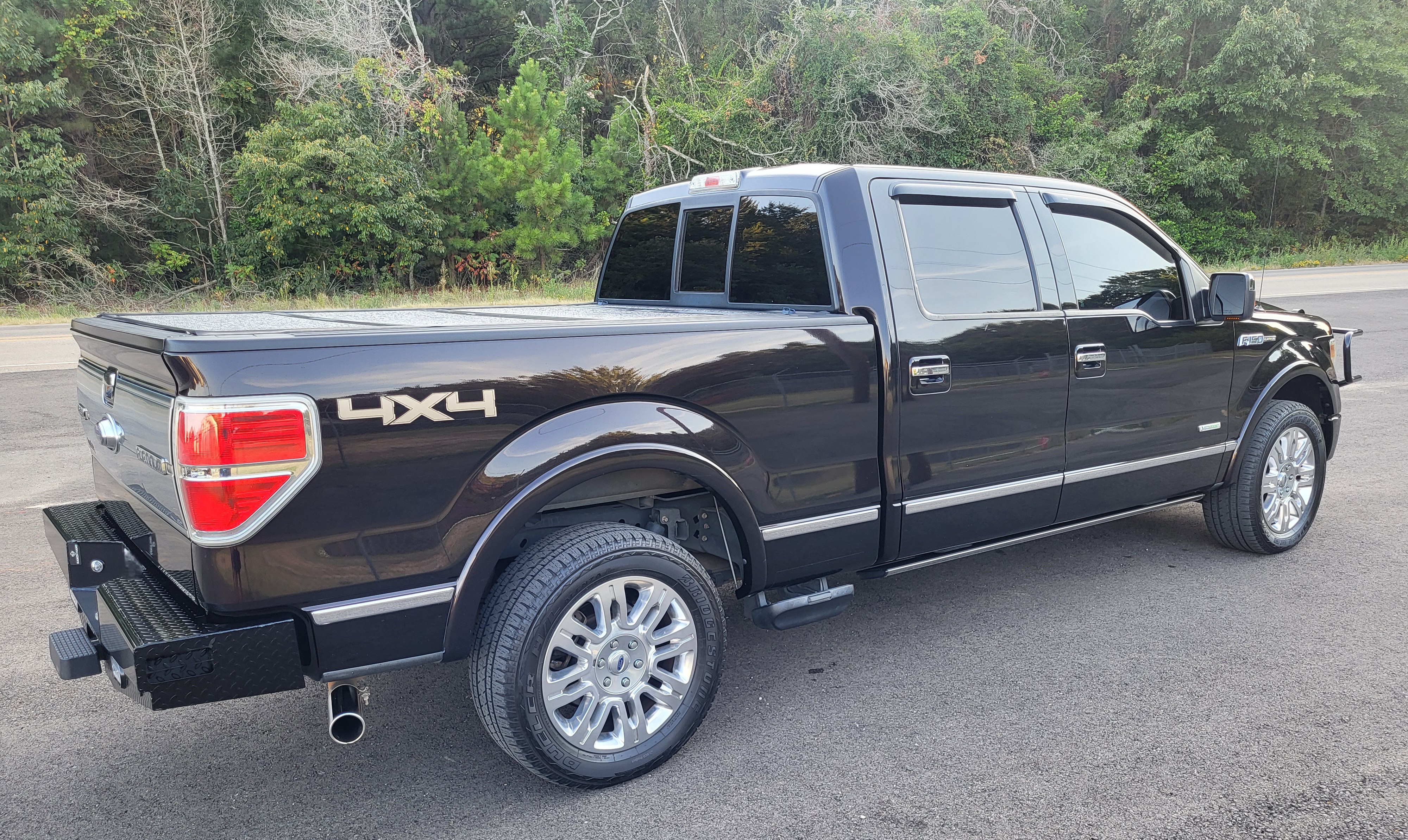 Used 2013 Ford F150 Platinum AWD/4WD image 2
