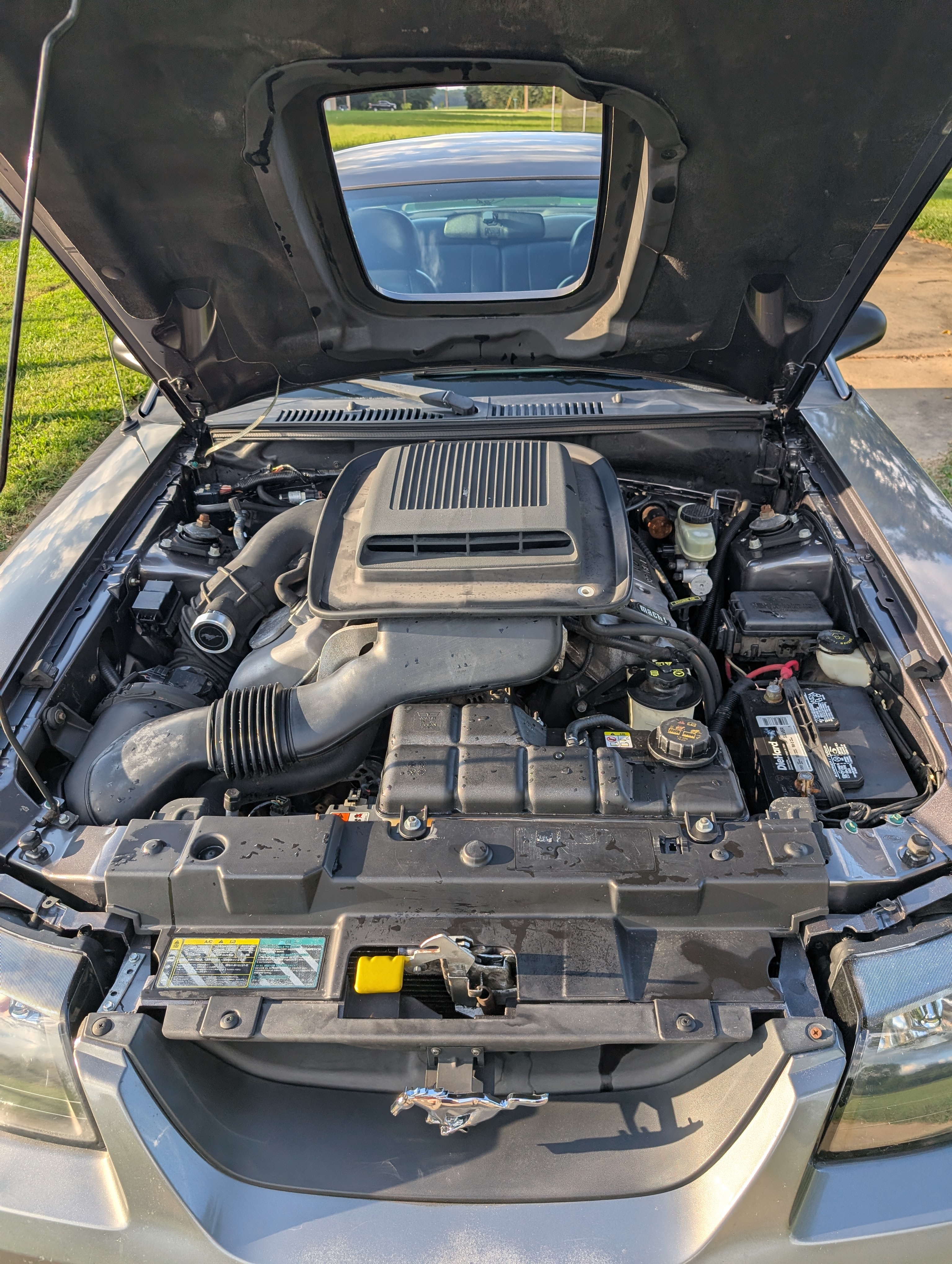 Used 2004 Ford Mustang Mach 1 RWD image 5