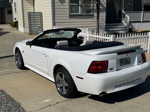 Used 1999 Ford Mustang GT RWD image 13