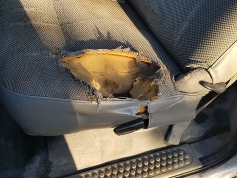 Used 2006 Ford F350 2WD Crew Cab DRW Super Duty image 13