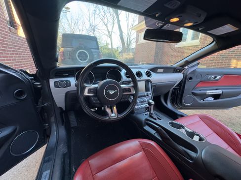 Used 2015 Ford Mustang GT Premium w/ Equipment Group 401A image 15