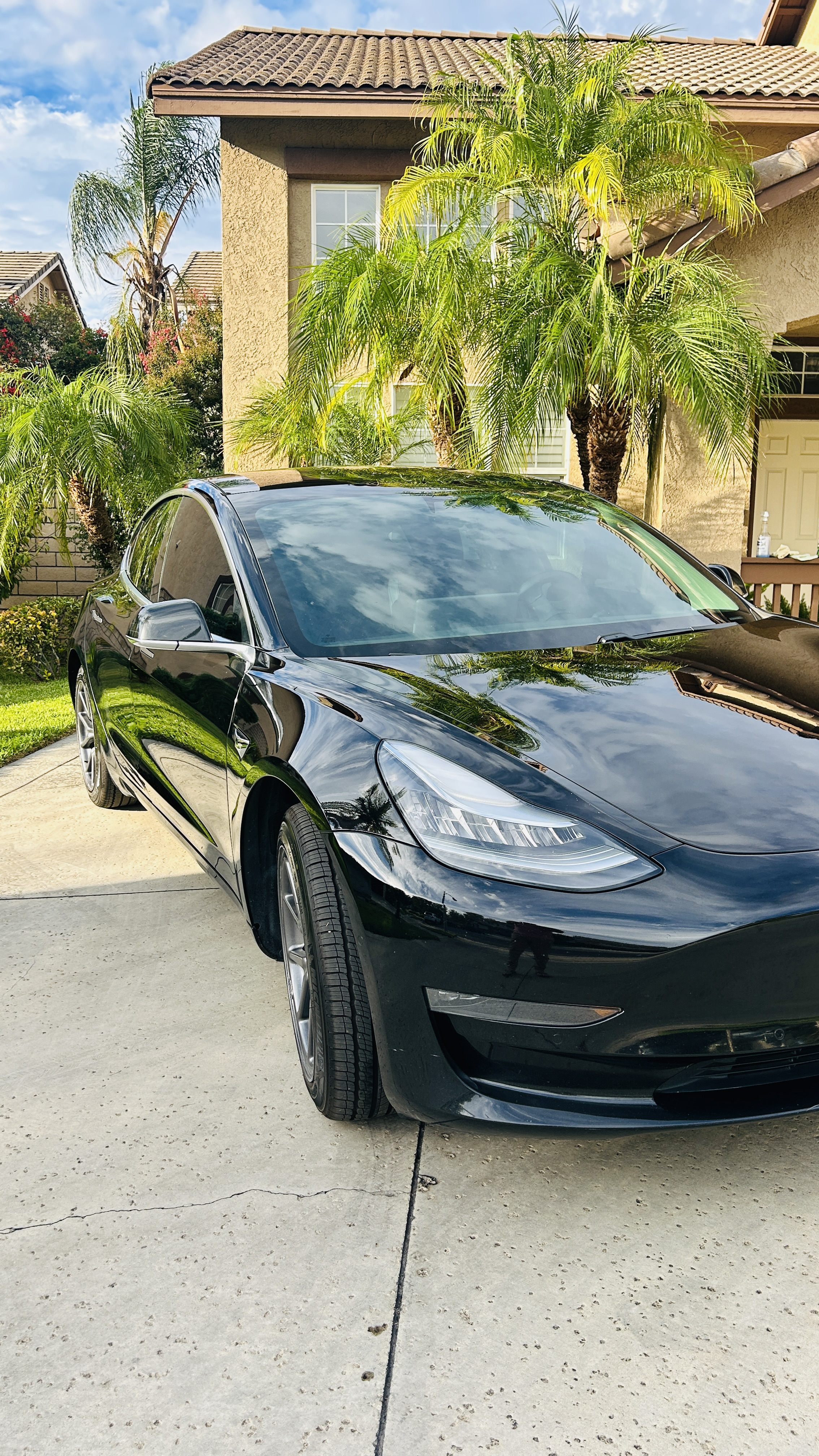 Used 2019 Tesla Model 3 RWD image 13