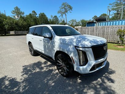 Used 2026 Cadillac Escalade V