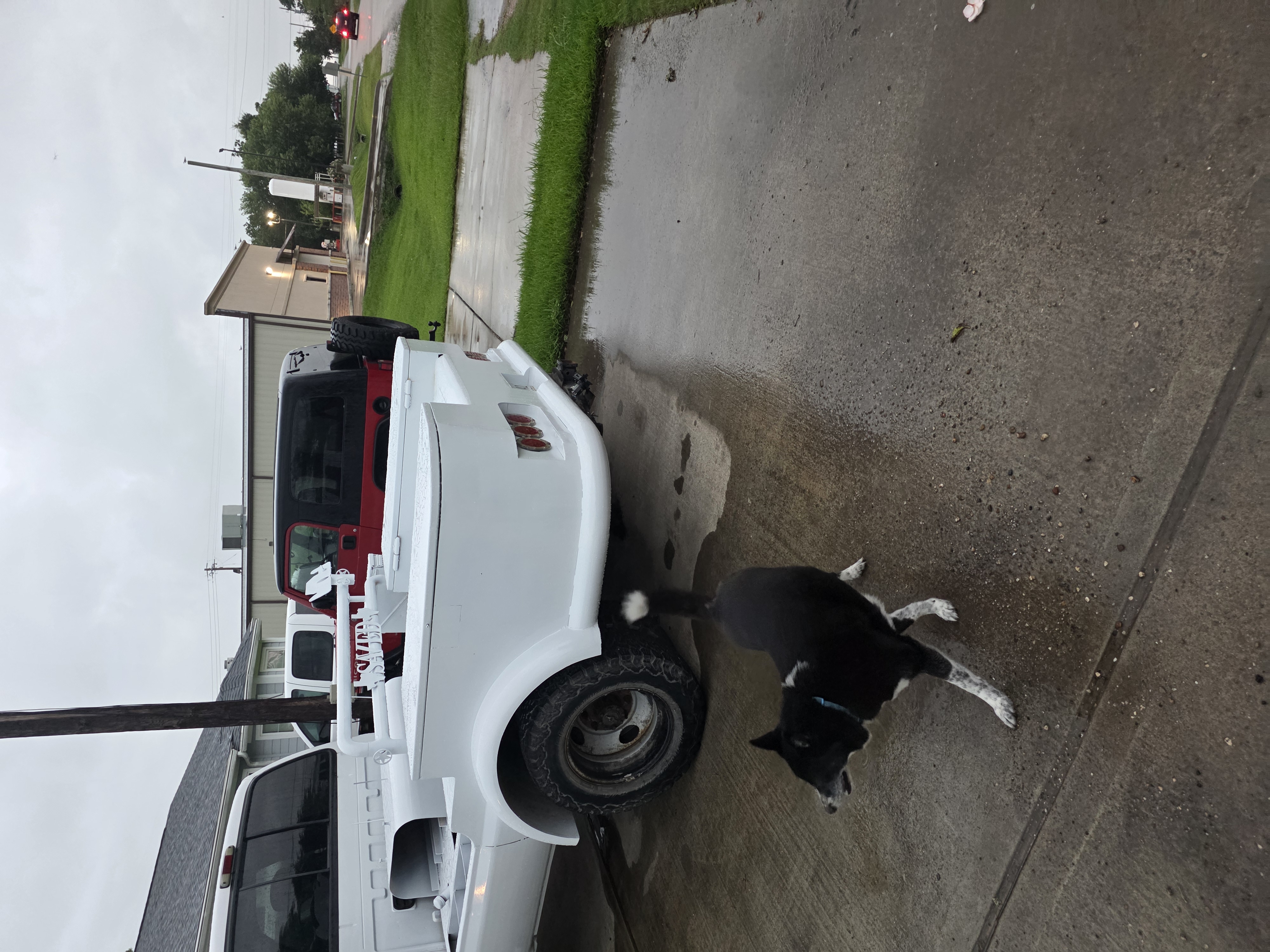 Used 2005 Ford F350 Lariat AWD/4WD image 6