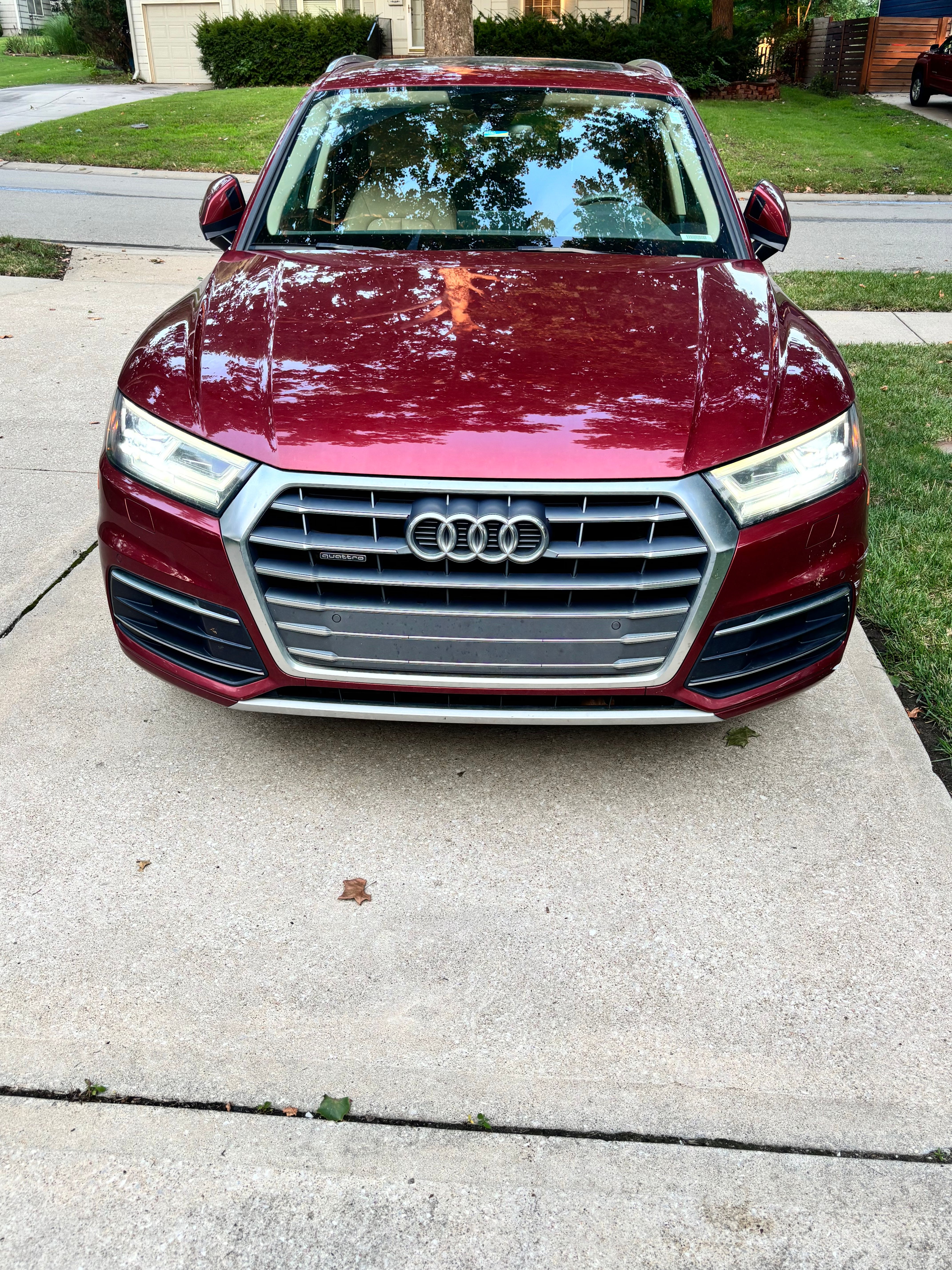 Used 2019 Audi Q5 2.0T Premium Plus AWD/4WD image 1