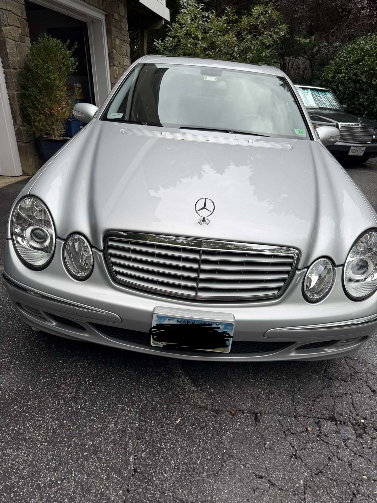 Used 2006 Mercedes-Benz E 320 CDI Sedan image 1