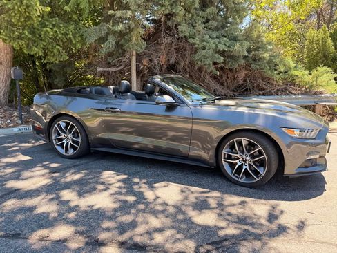 Used 2015 Ford Mustang Premium w/ Equipment Group 201A RWD image 2