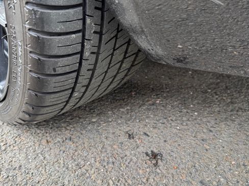 Used 1999 Porsche 911 Carrera image 26