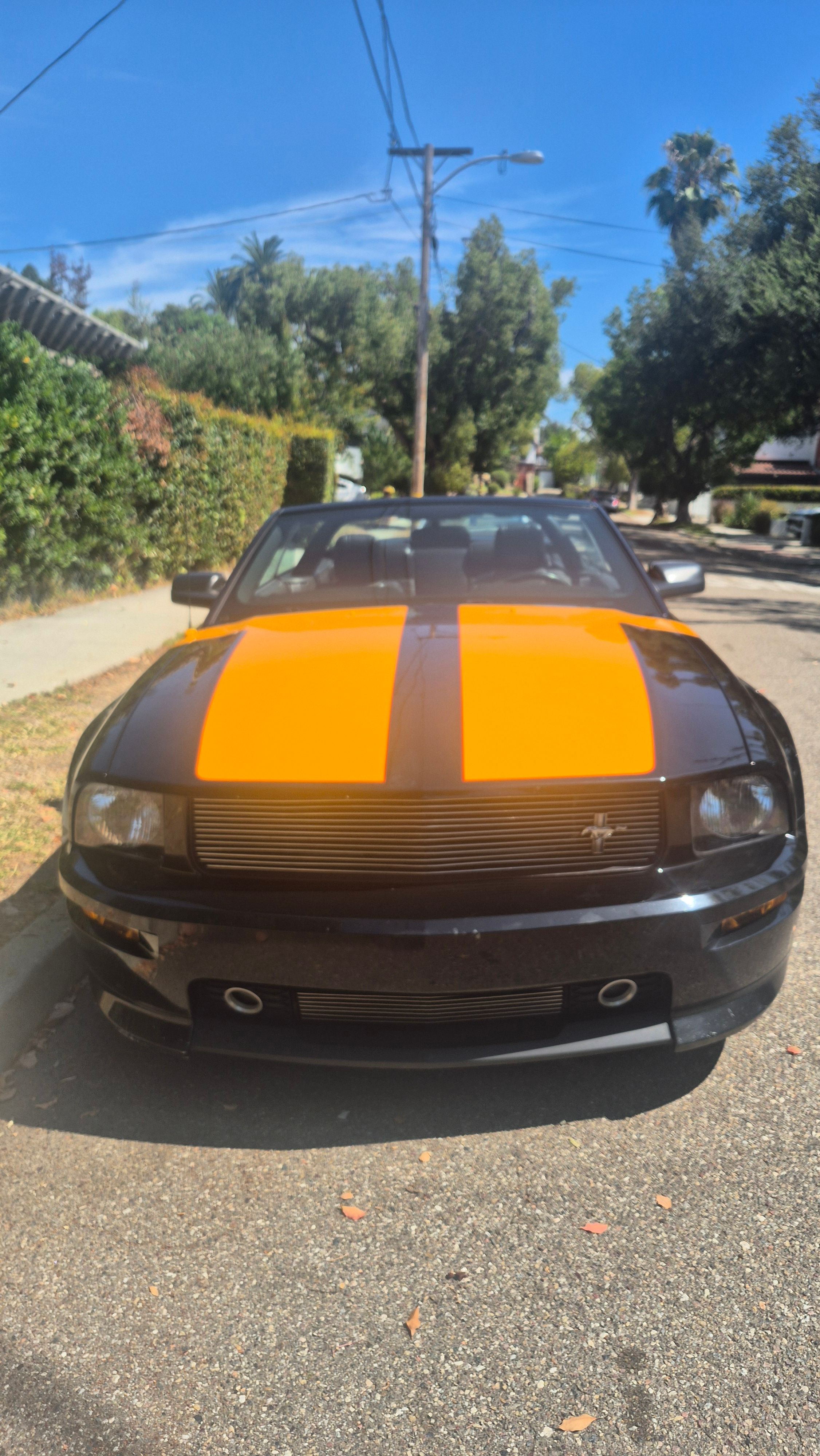 Used 2006 Ford Mustang GT Premium RWD image 16