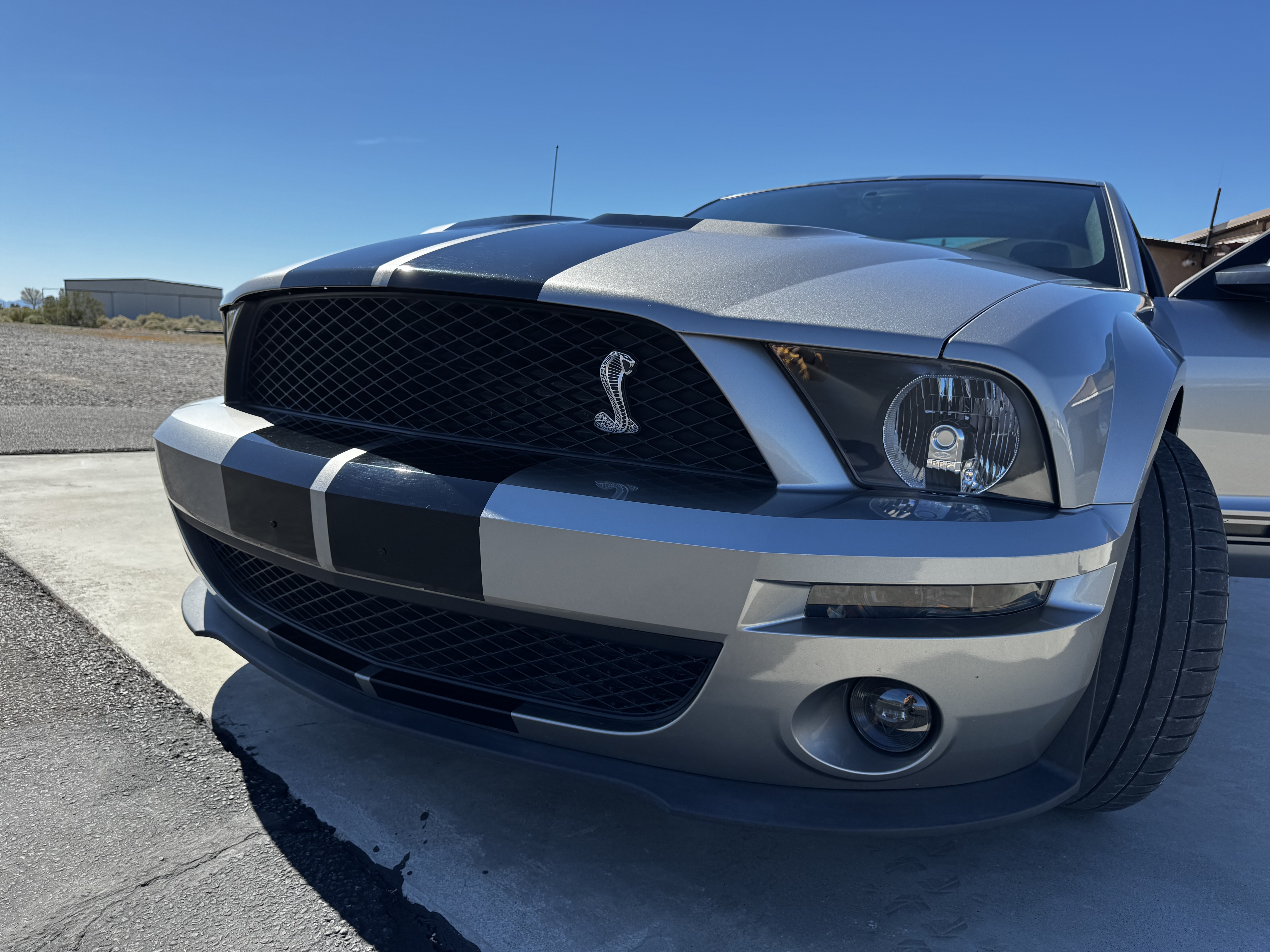 Used 2008 Ford Mustang Shelby GT500 RWD image 5