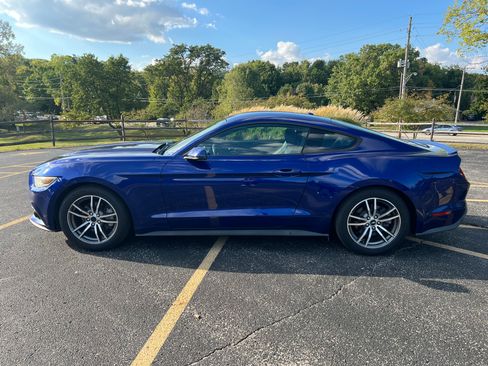 Used 2015 Ford Mustang Premium w/ Equipment Group 201A image 1