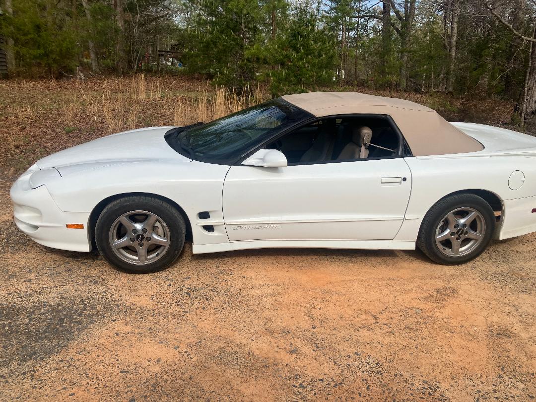 Used 2000 Pontiac Firebird Trans Am RWD image 1