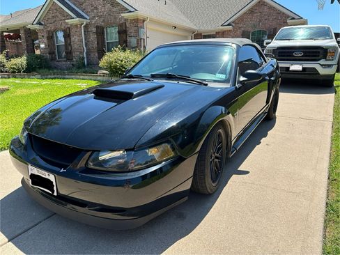 Used 2002 Ford Mustang GT Premium image 13