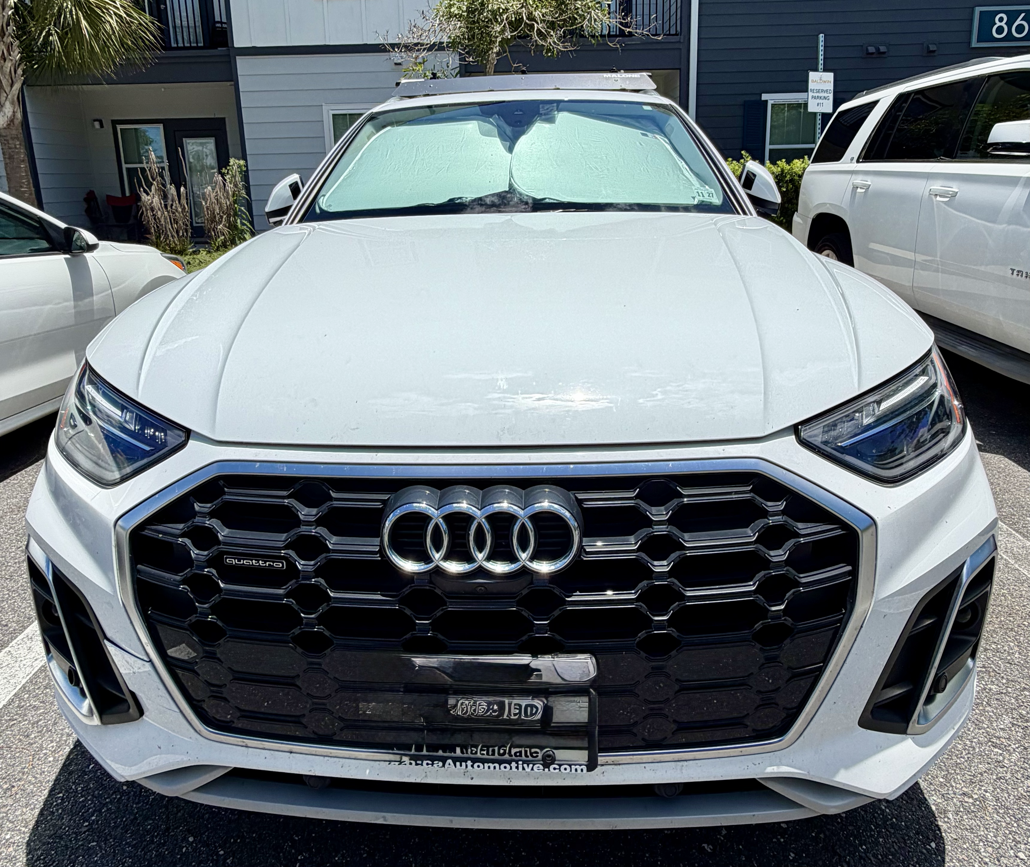 Used 2024 Audi Q5 2.0T Premium Plus AWD/4WD image 1