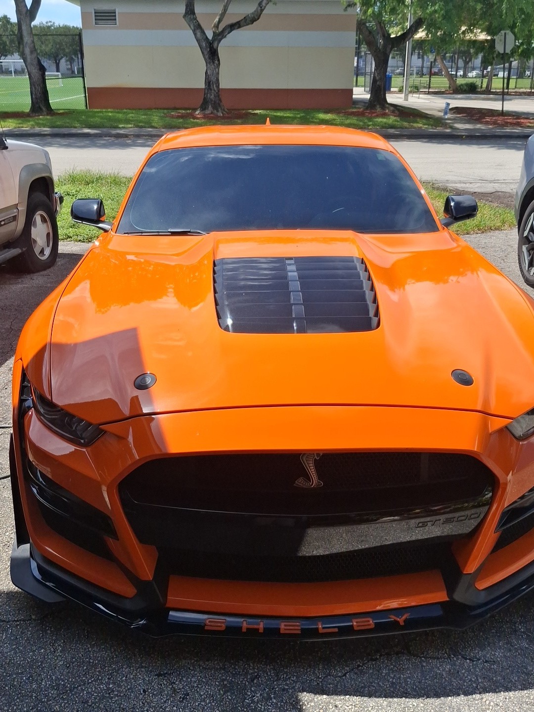 Used 2020 Ford Mustang Shelby GT500 w/ Technology Package RWD image 1