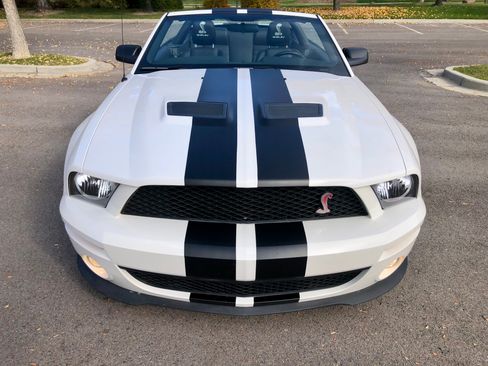 Used 2008 Ford Mustang Shelby GT500 image 4