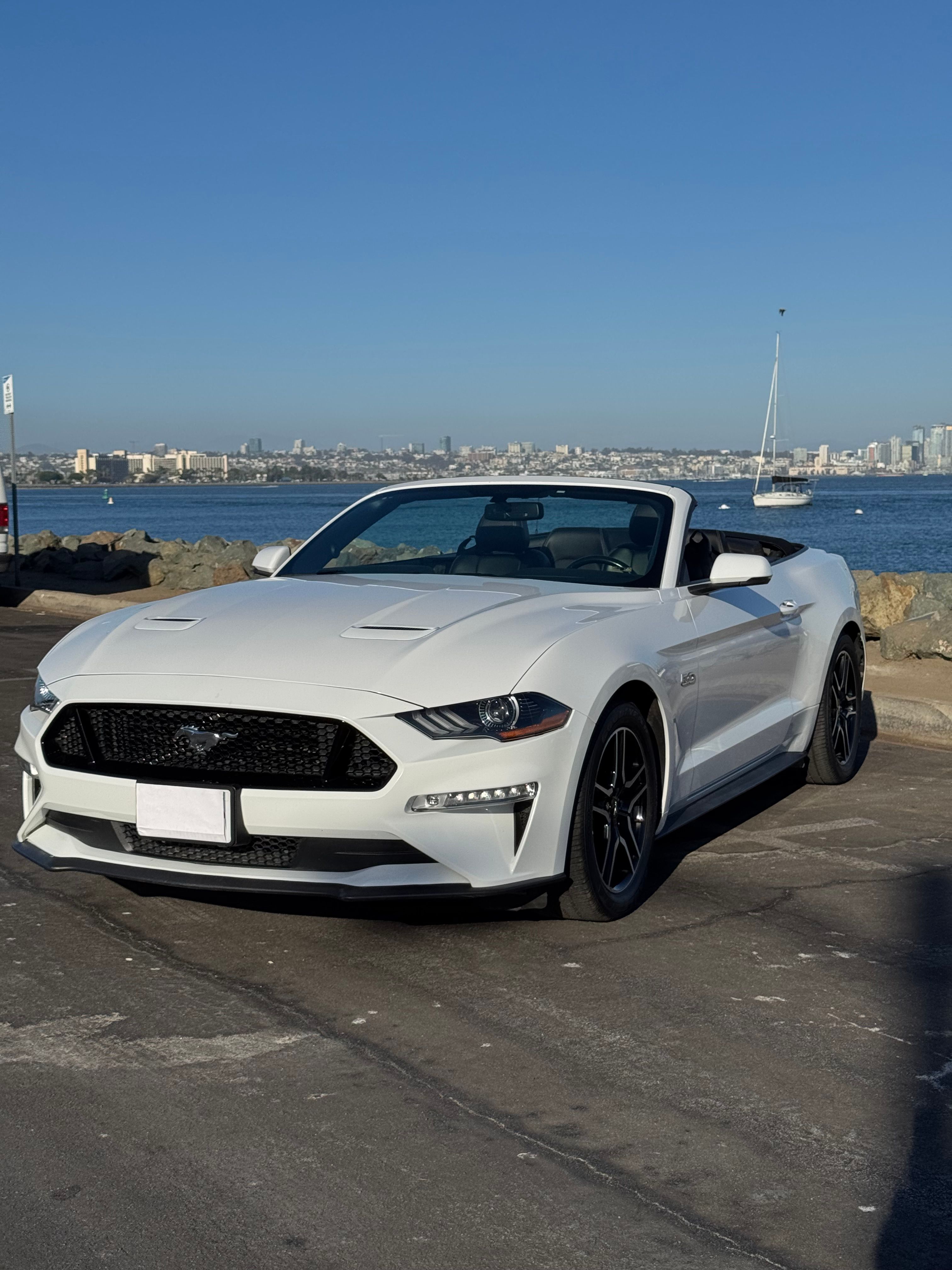 Used 2019 Ford Mustang GT Premium RWD image 13