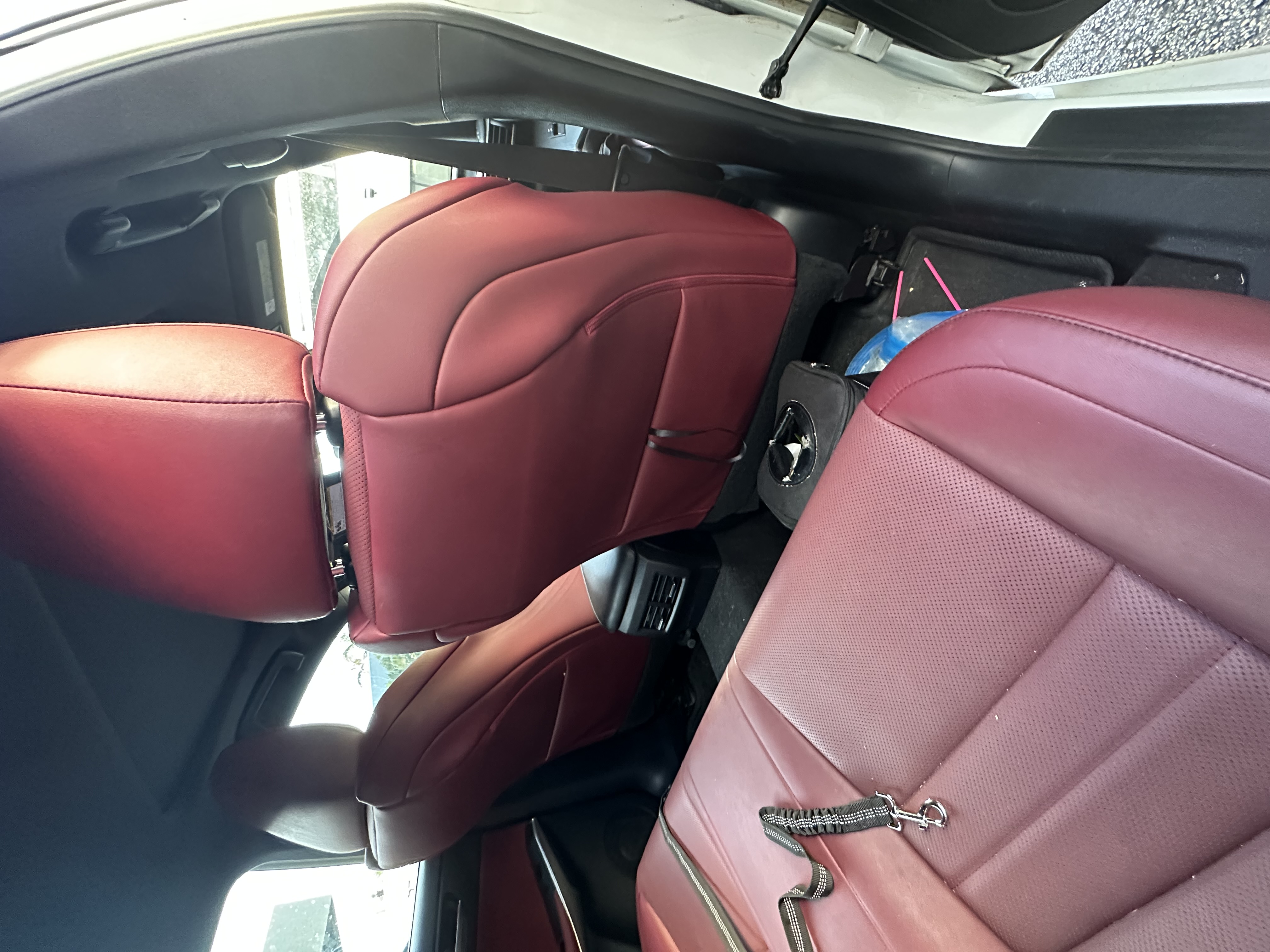Used 2019 Lexus IS 300 F Sport w/ F Sport Package RWD image 13