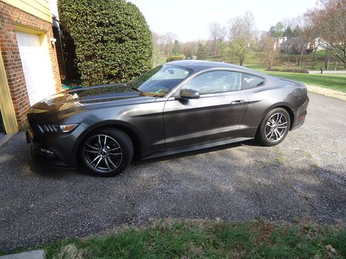 Used 2017 Ford Mustang Premium image 6