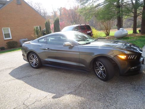 Used 2017 Ford Mustang Premium image 14