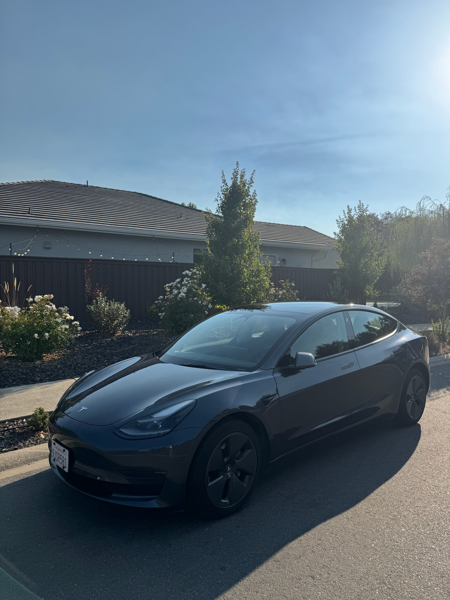 Used 2023 Tesla Model 3 Standard Range RWD image 1