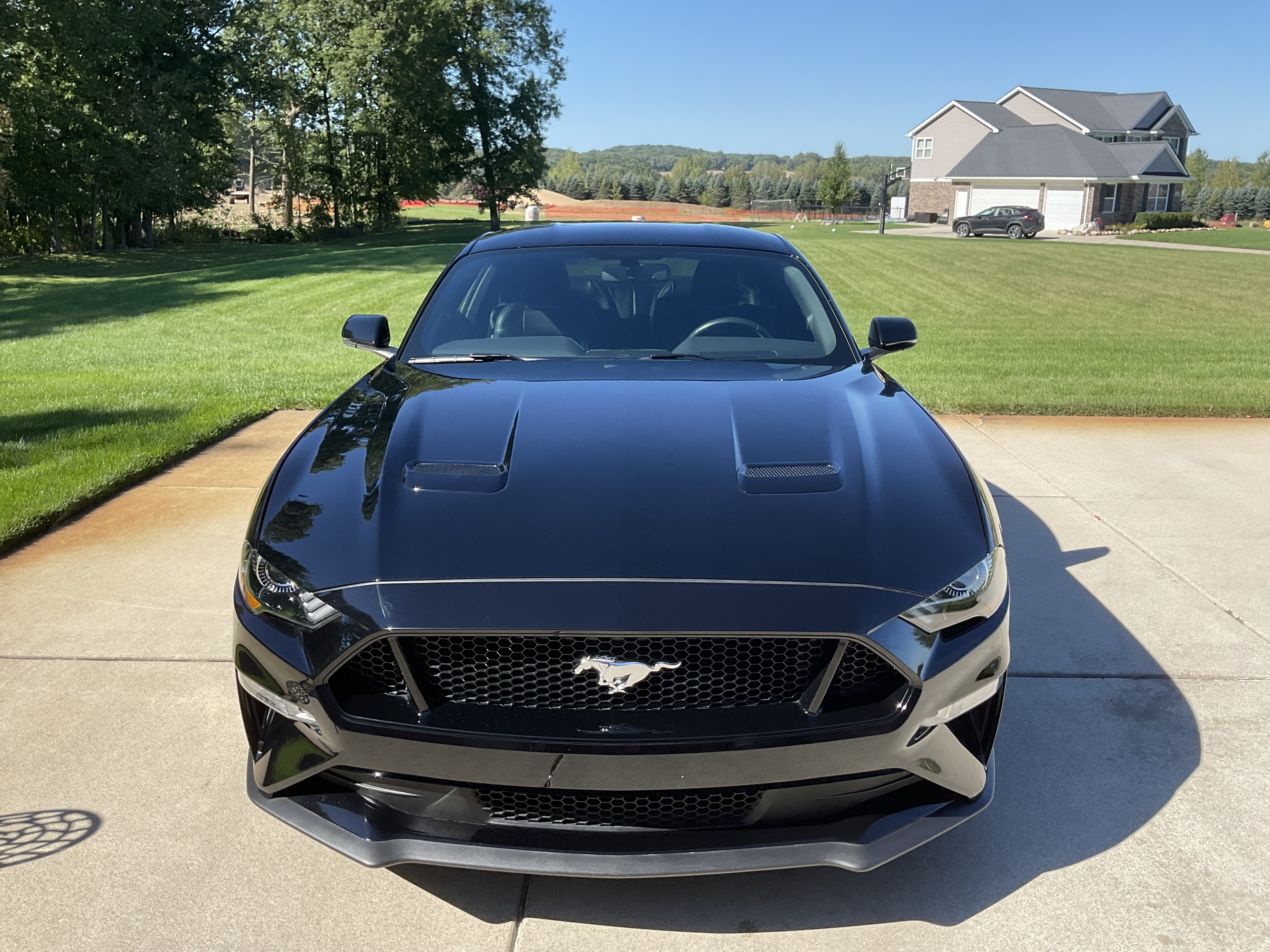 Used 2019 Ford Mustang GT Premium w/ Equipment Group 401A RWD image 1
