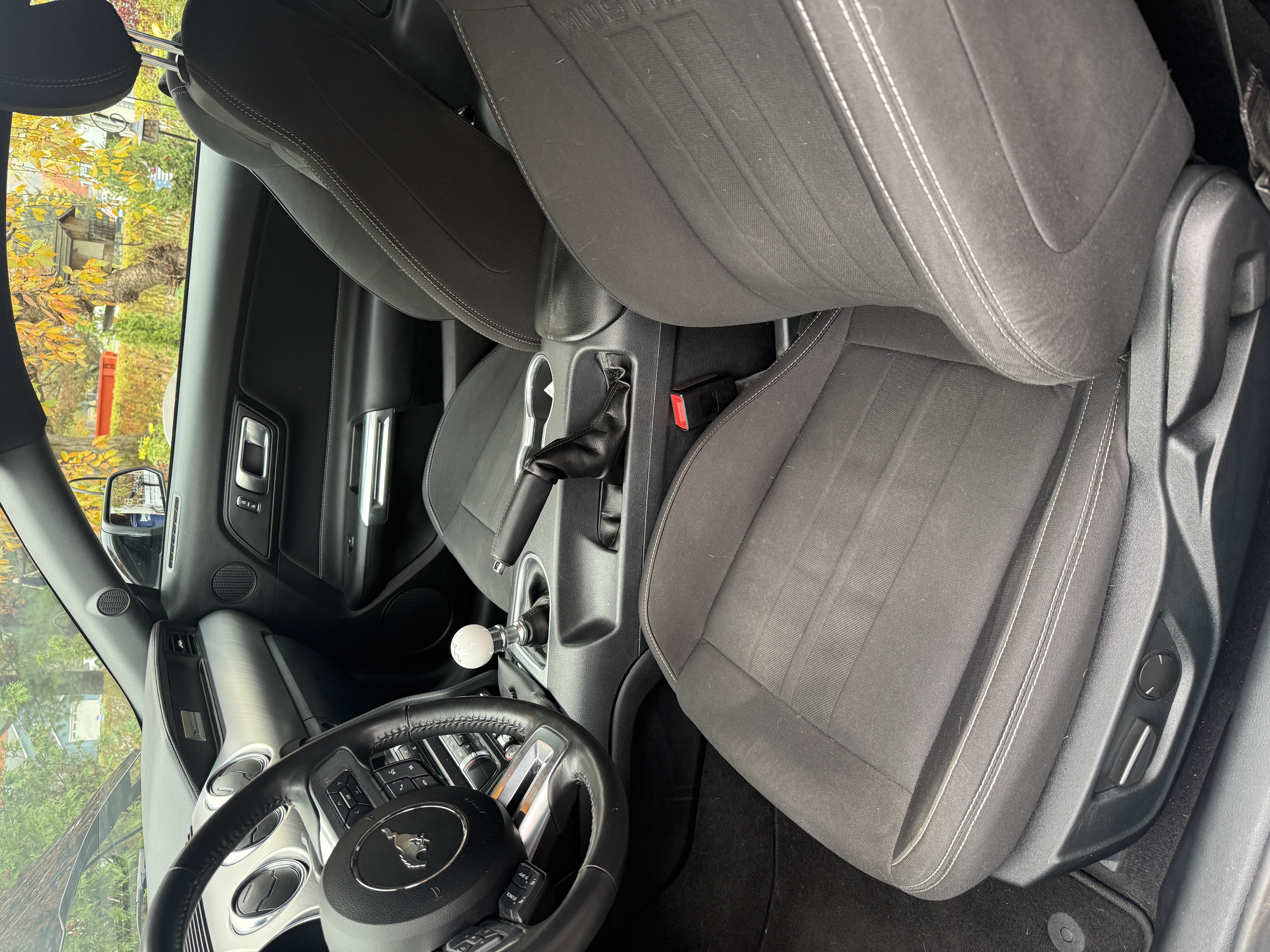 Used 2022 Ford Mustang GT w/ Equipment Group 301A RWD image 15