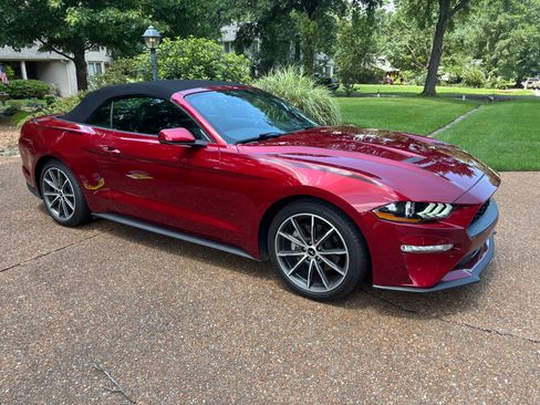 Used 2019 Ford Mustang Premium w/ Equipment Group 201A RWD image 8