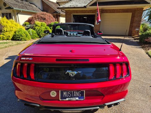 Used 2023 Ford Mustang Premium w/ Equipment Group 201A image 8