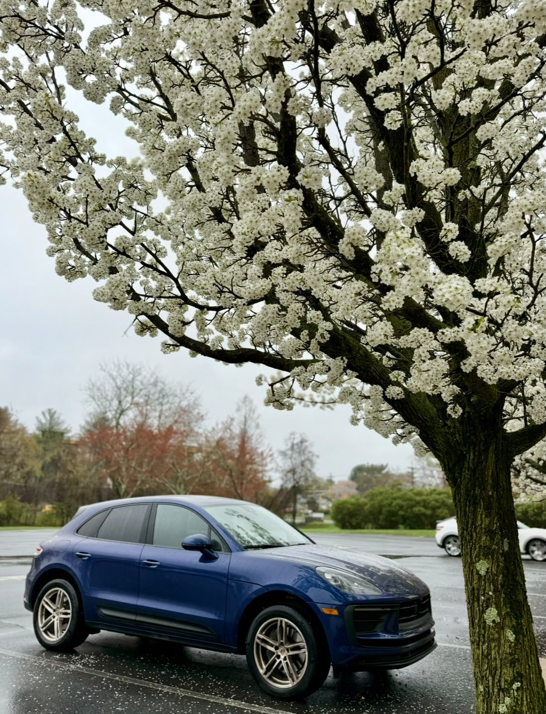 Used 2024 Porsche Macan AWD/4WD image 5