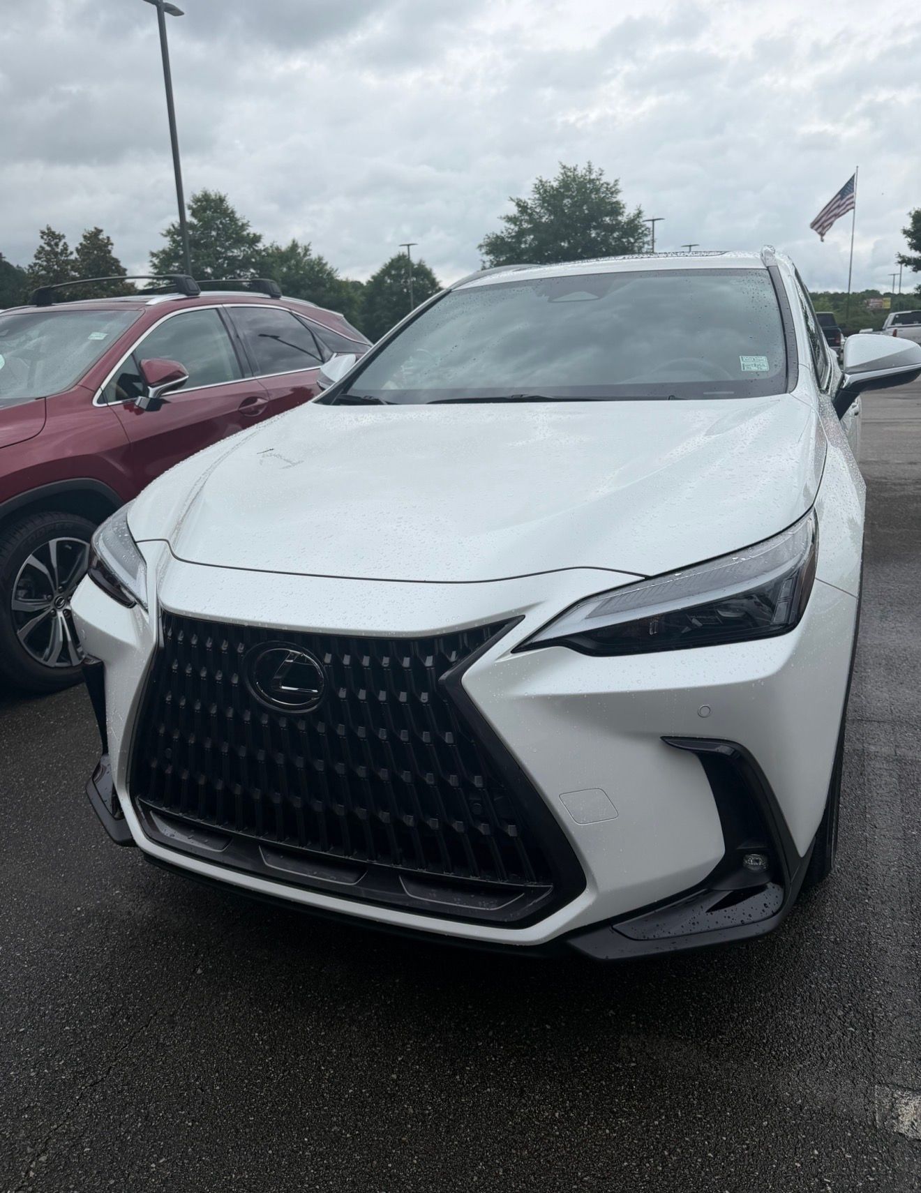 Used 2024 Lexus NX 250 FWD image 4