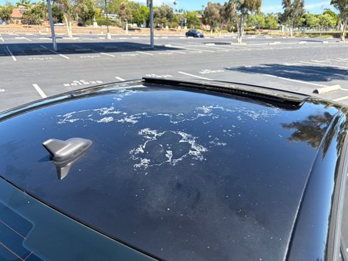 Used 2008 Volkswagen Jetta Wolfsburg Edition image 20