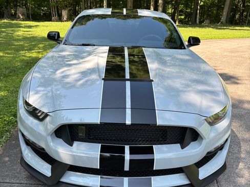 Used 2017 Ford Mustang Shelby GT350 w/ Electronics Package RWD image 2