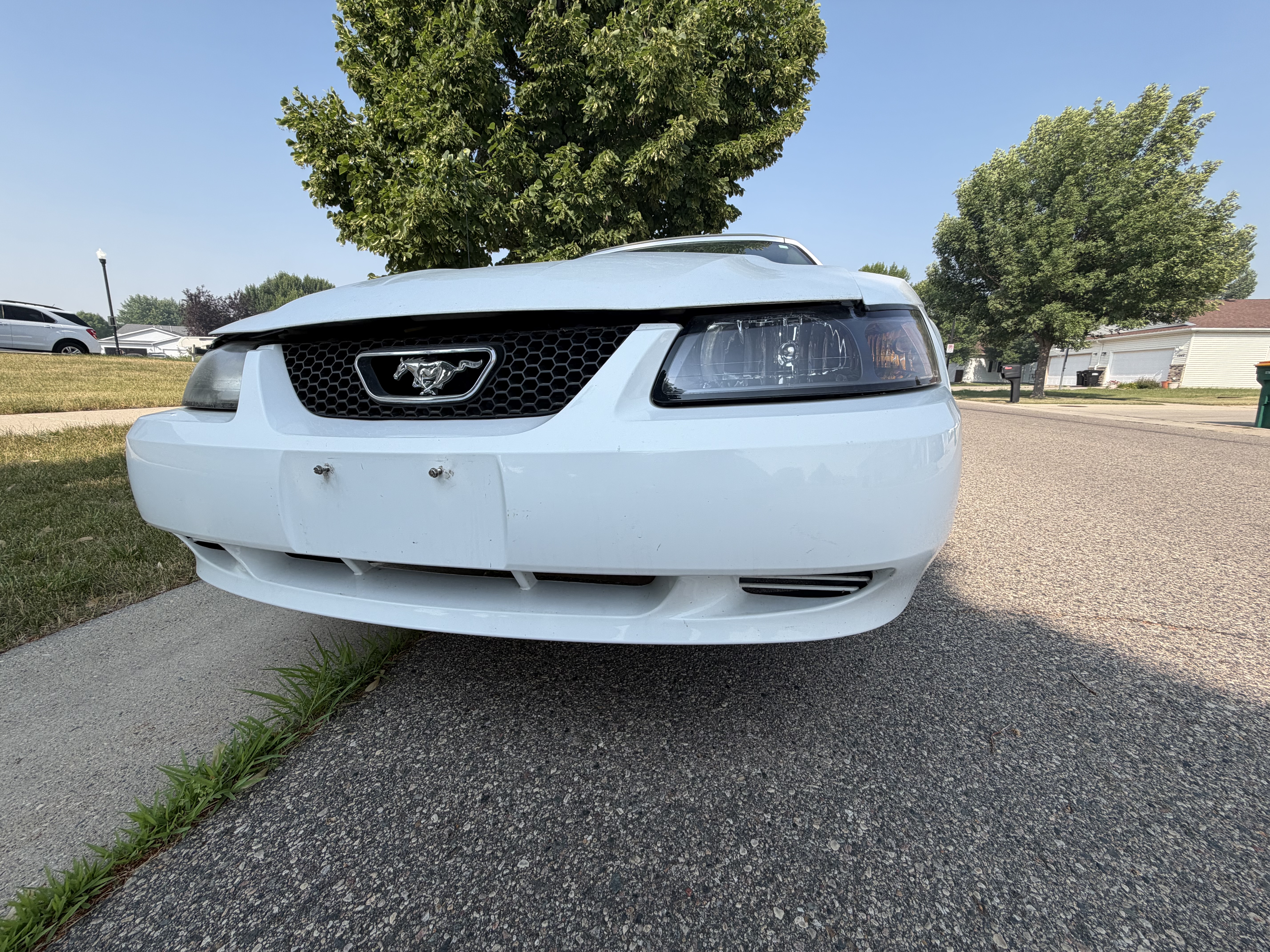 Used 2002 Ford Mustang Premium RWD image 10