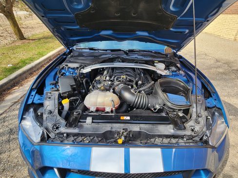 Used 2019 Ford Mustang Shelby GT350 w/ Technology Package image 10