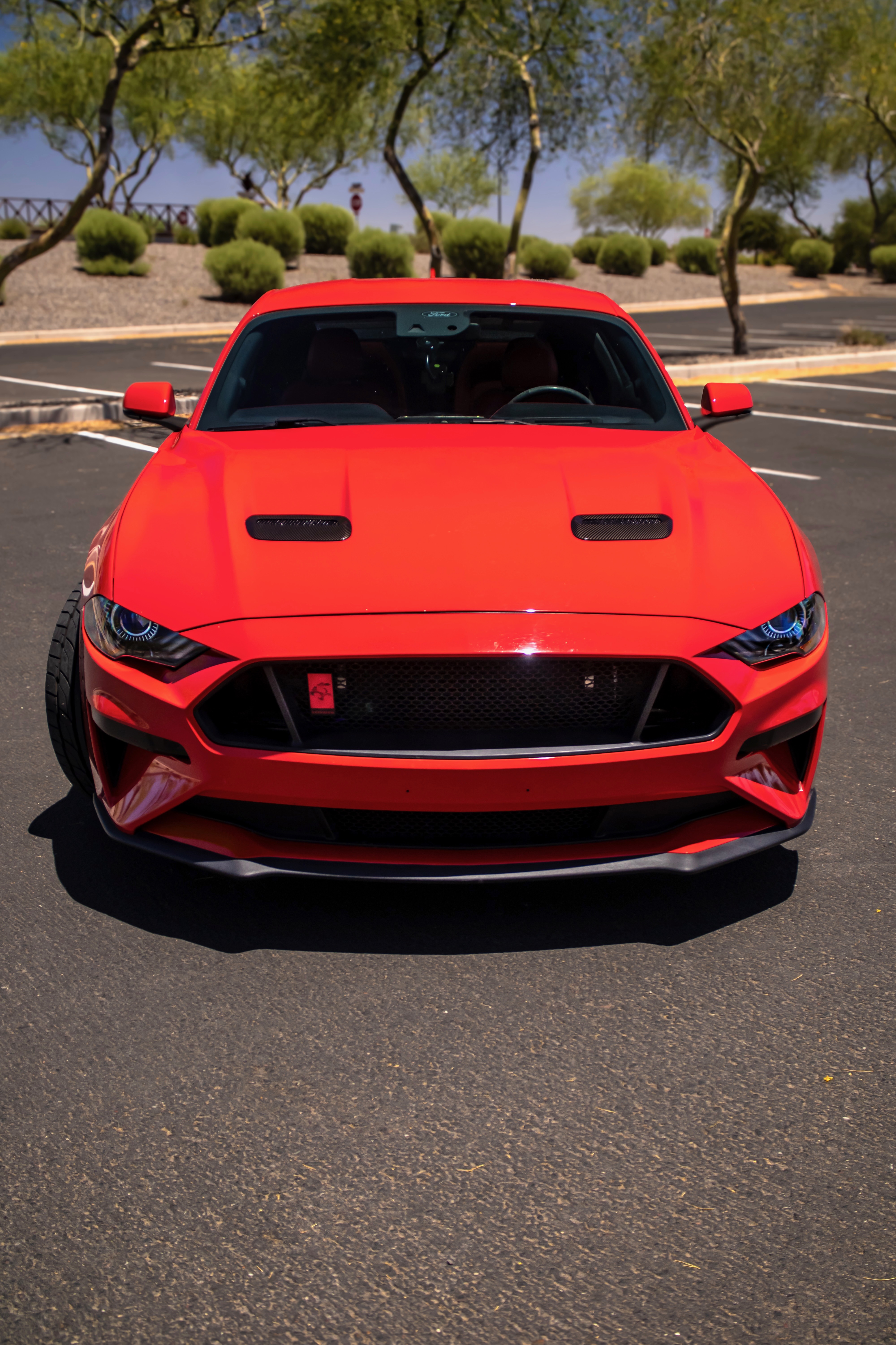 Used 2020 Ford Mustang GT Premium w/ Equipment Group 401A RWD image 2