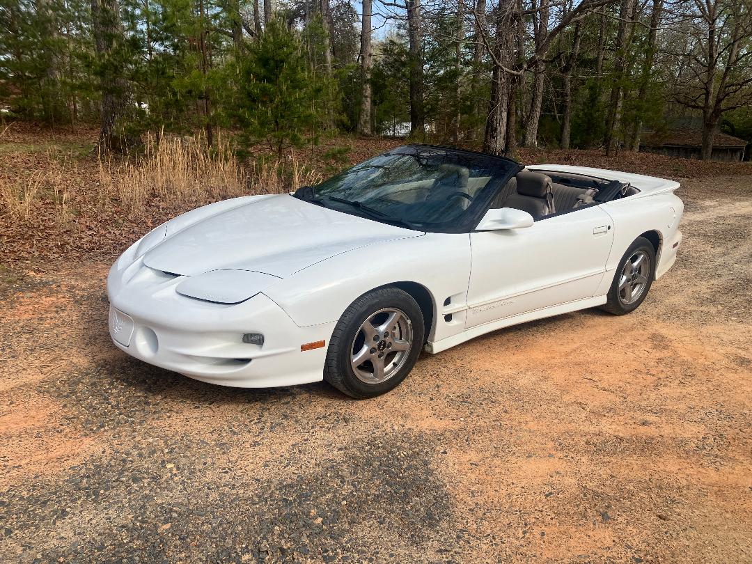 Used 2000 Pontiac Firebird Trans Am RWD image 2