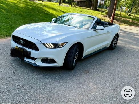 Used 2017 Ford Mustang Premium RWD image 3
