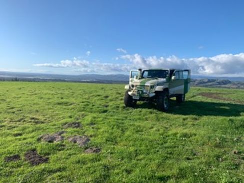 Used 2015 Jeep Wrangler Unlimited Sahara w/ Connectivity Group image 5