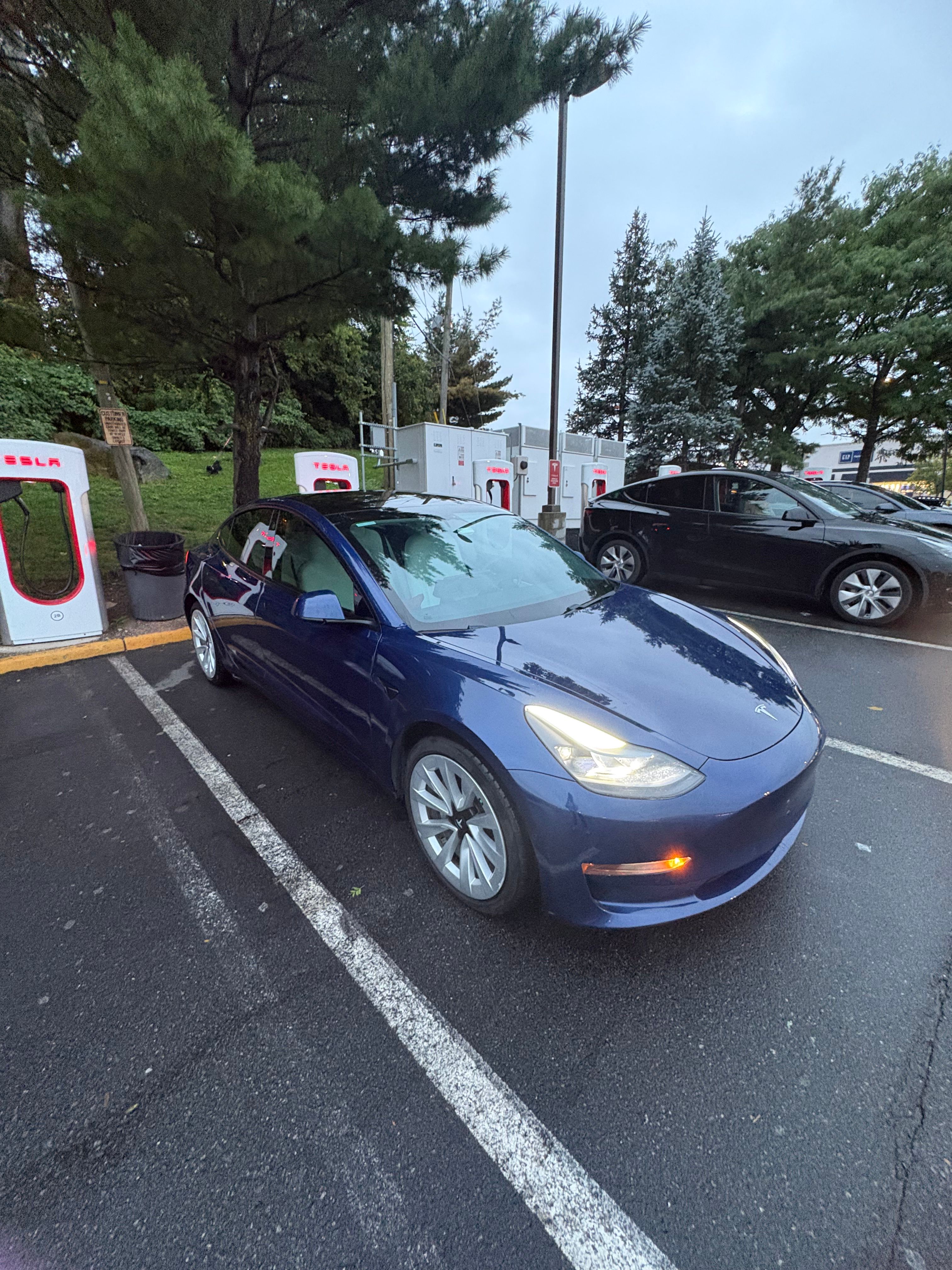 Used 2021 Tesla Model 3 Long Range AWD/4WD image 1