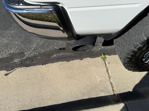 Used 2019 RAM 3500 Tradesman image 14