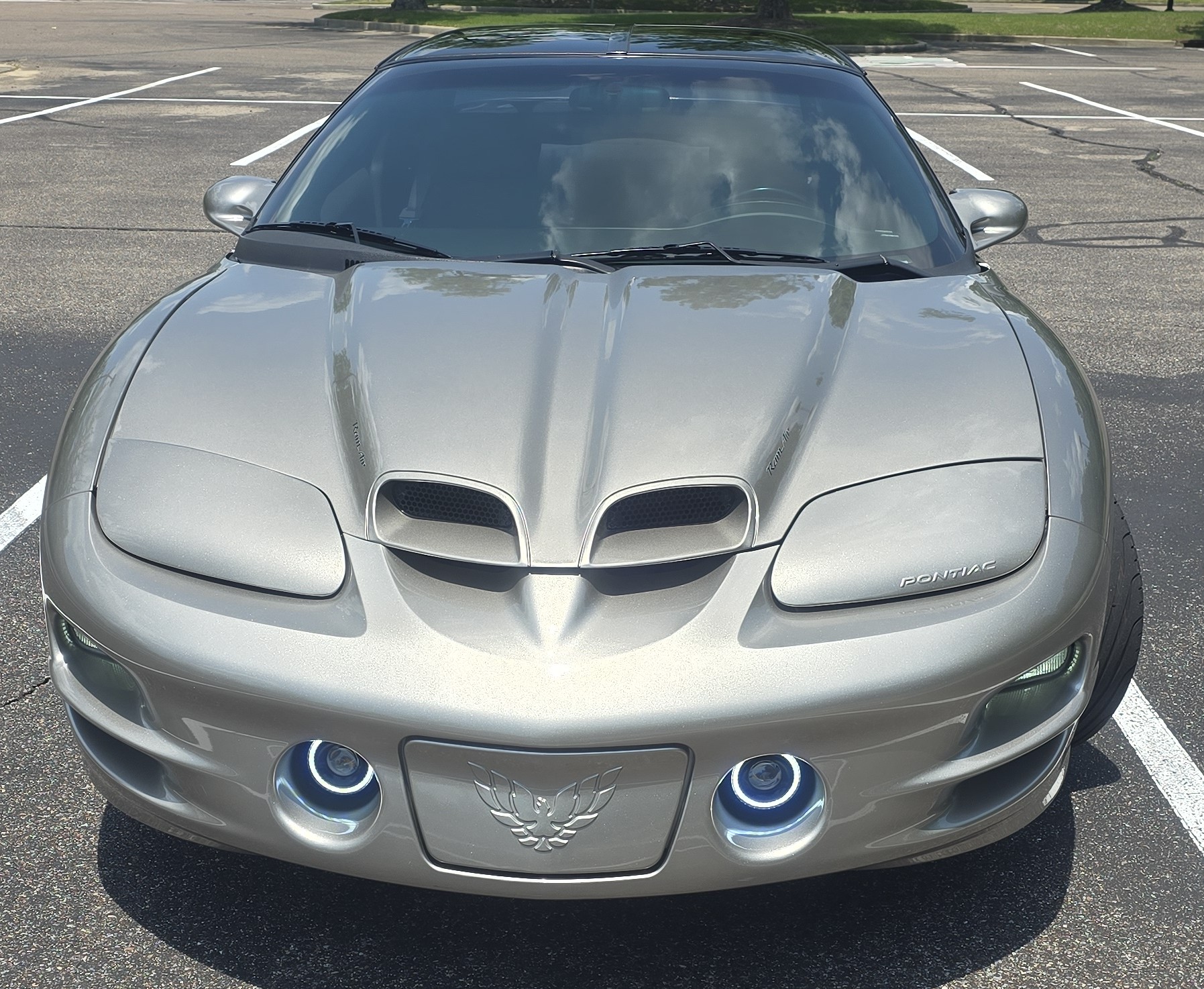 Used 2002 Pontiac Firebird Trans Am RWD image 1