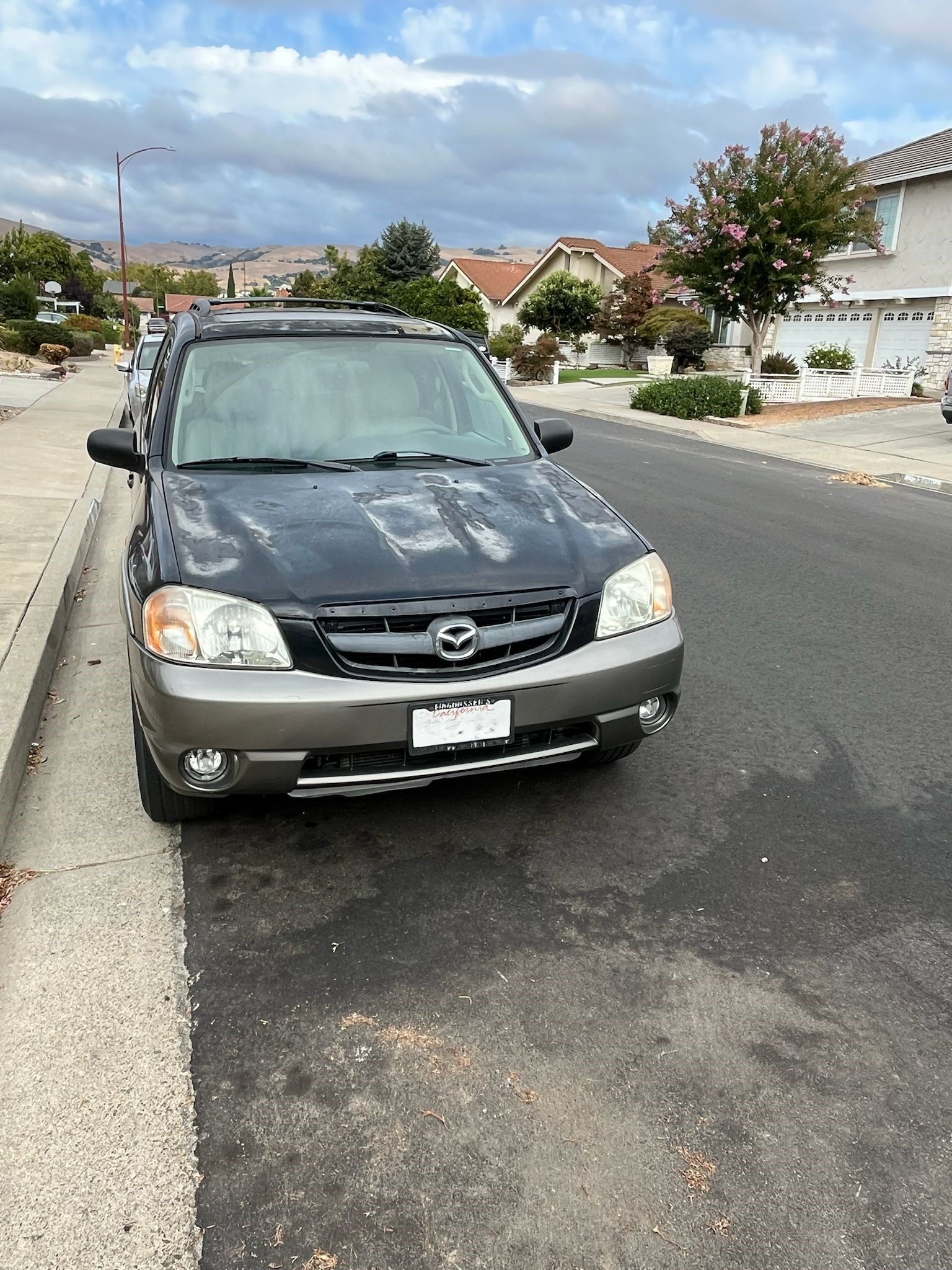 Used 2003 MAZDA Tribute ES AWD/4WD image 2