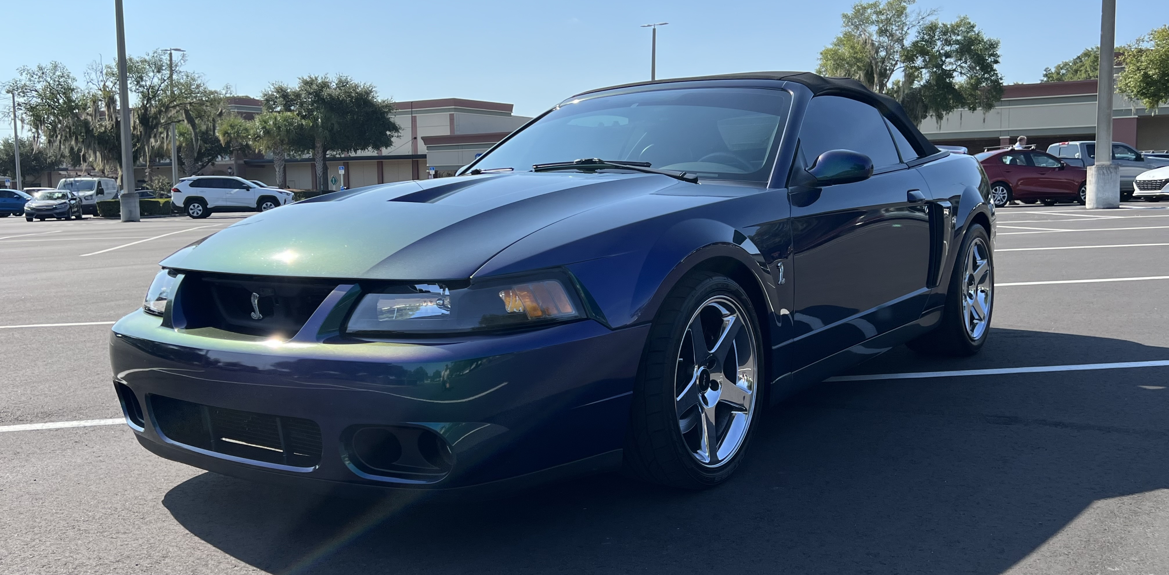 Used 2004 Ford Mustang Cobra RWD image 8